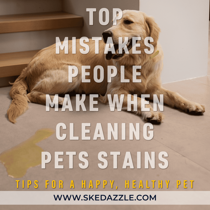 Top Mistakes People Make When Cleaning Pet Stains