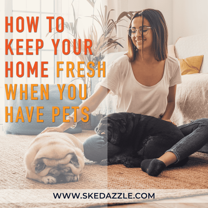 How to Keep Your Home Fresh  When You Have Pets (Daily & Weekly Tips)