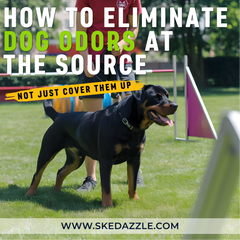 How to Eliminate Dog Odors at the Source (Not Just Cover Them Up)