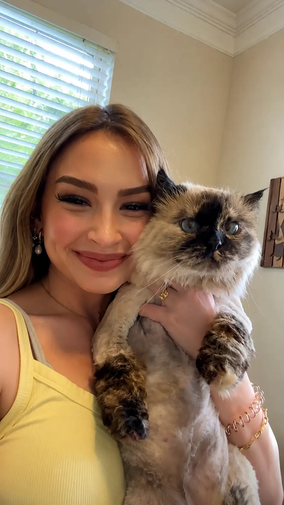 Cat urine stain on area rug testimonial