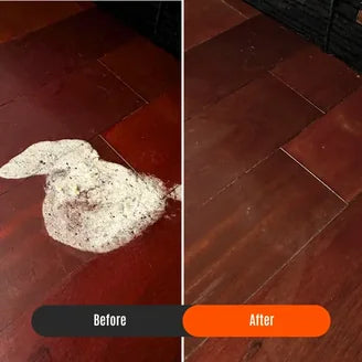 Before and after cleaning dog vomit stain from hardwood floor