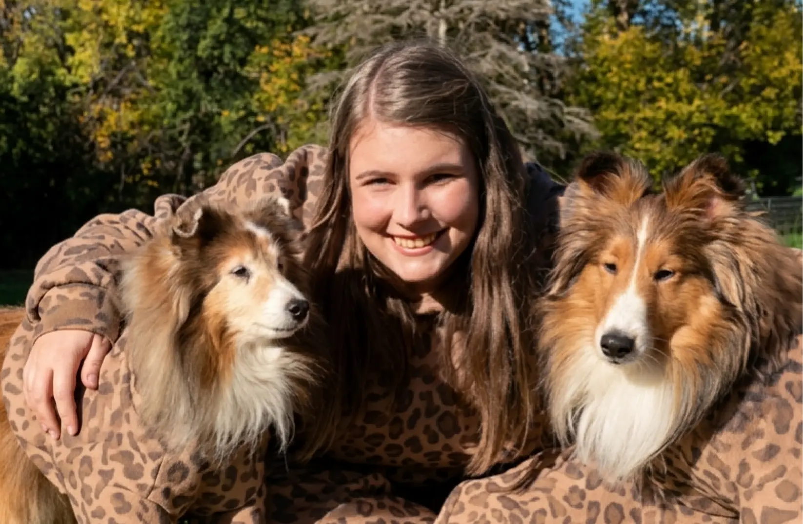 Creator dshelties