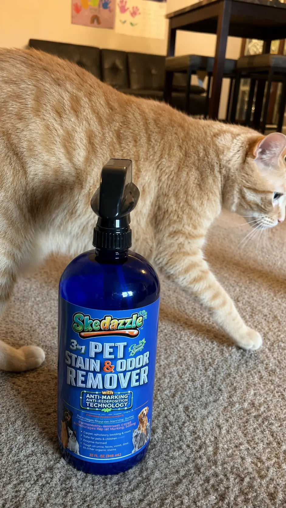 Cat urine stain on carpet testimonial