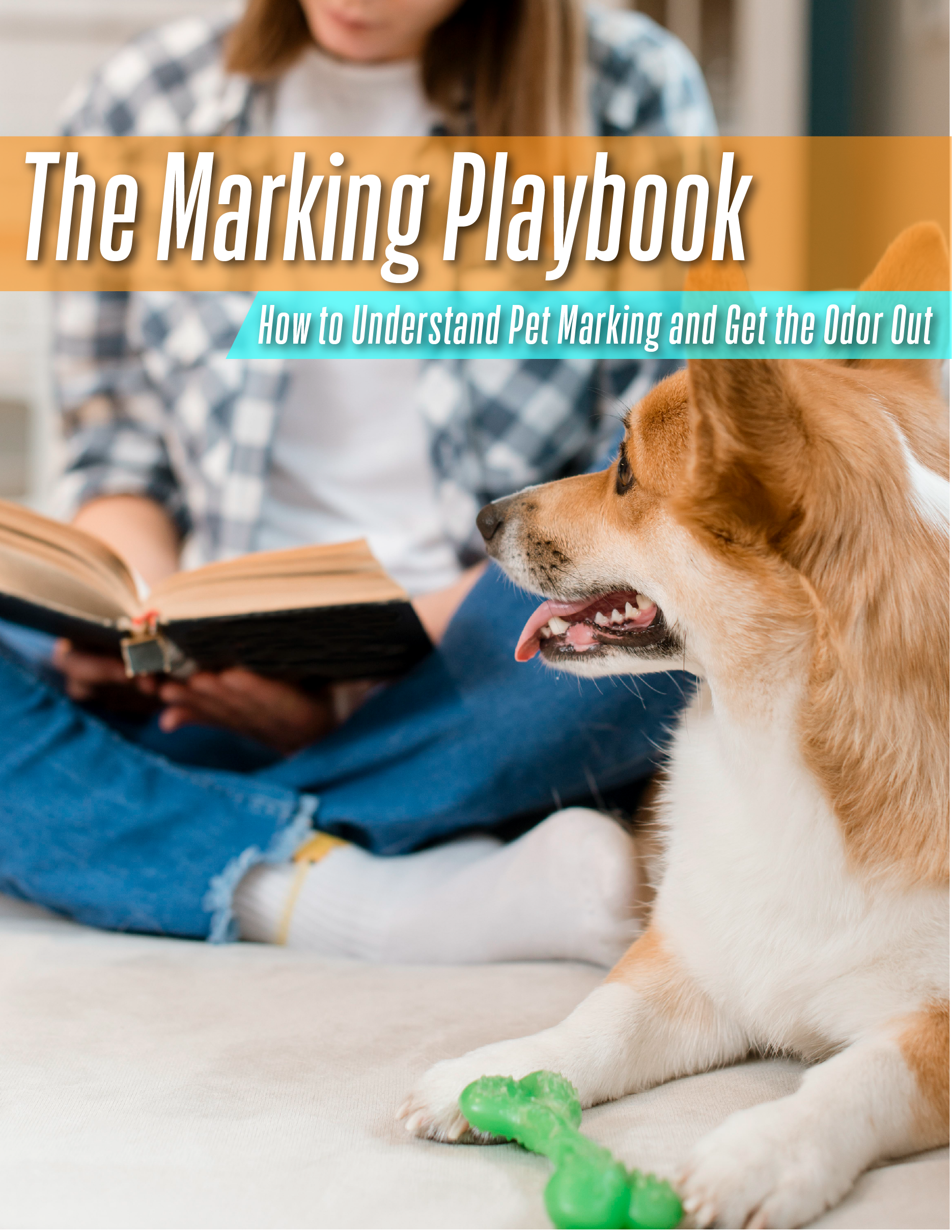 The  Marking Playbook book cover