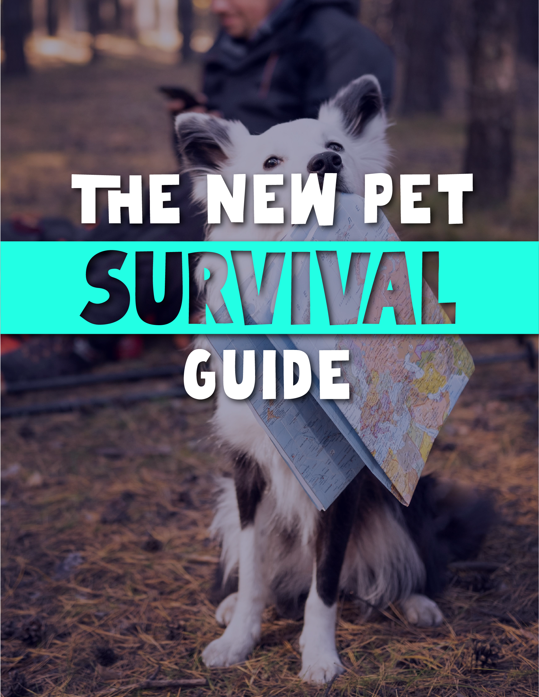The New Pet Survival Guide book cover