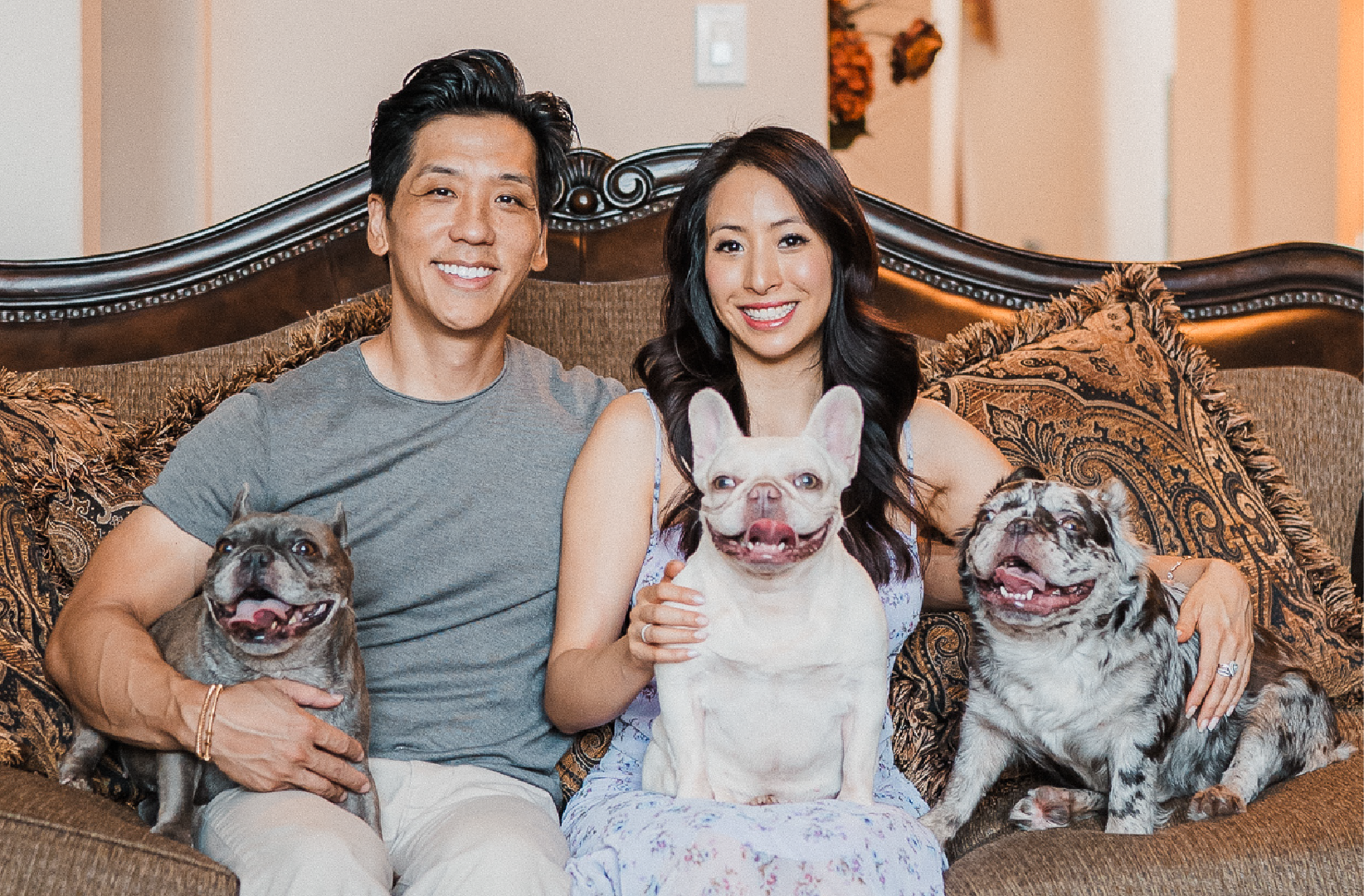 Creator Supreme Frenchies