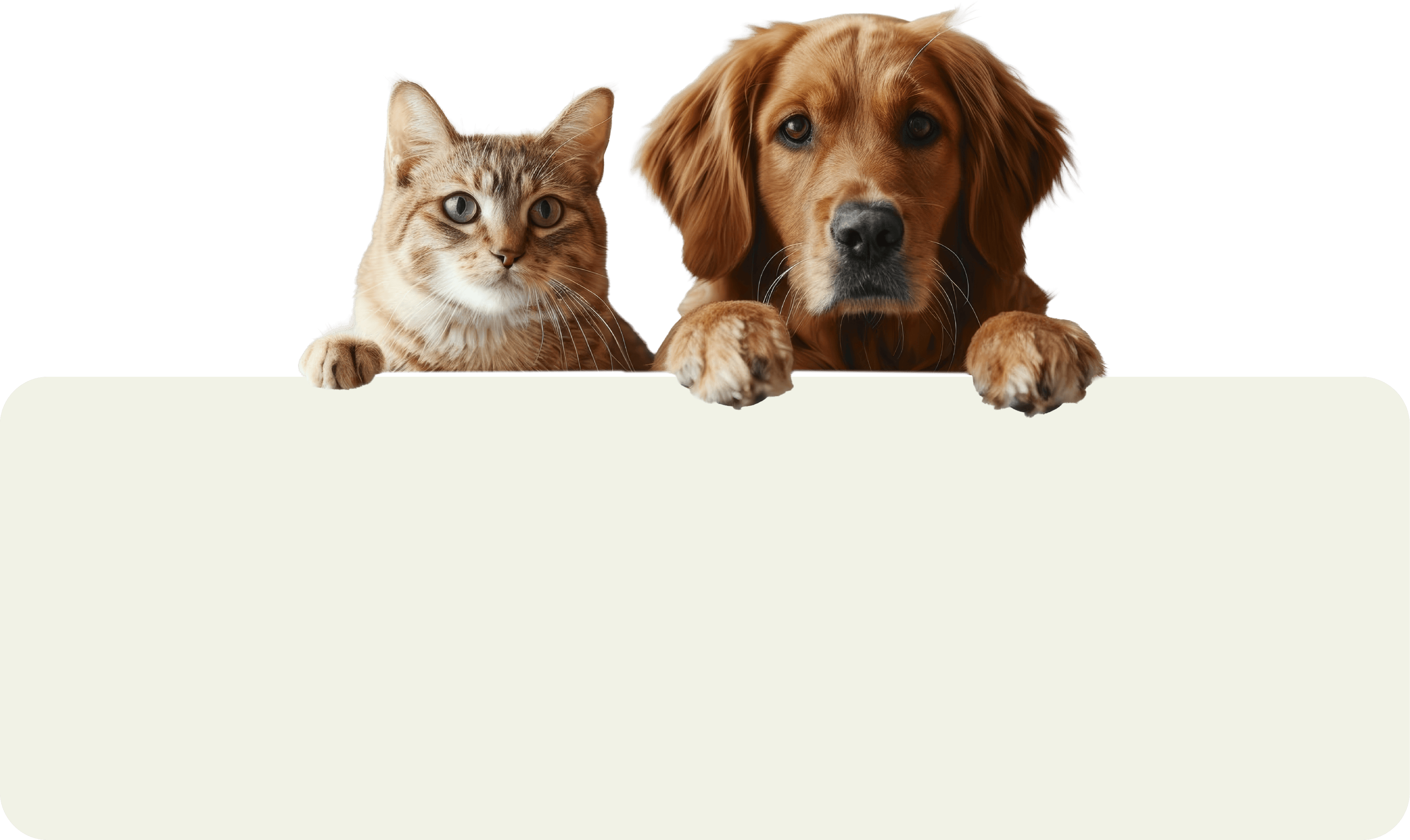 Skedazzle pets