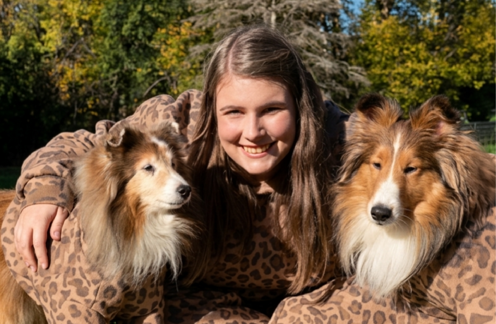 Creator dshelties