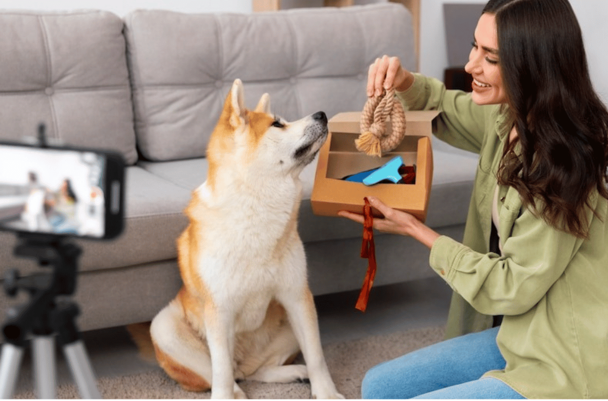 Content creator recording a dog playing with a toy